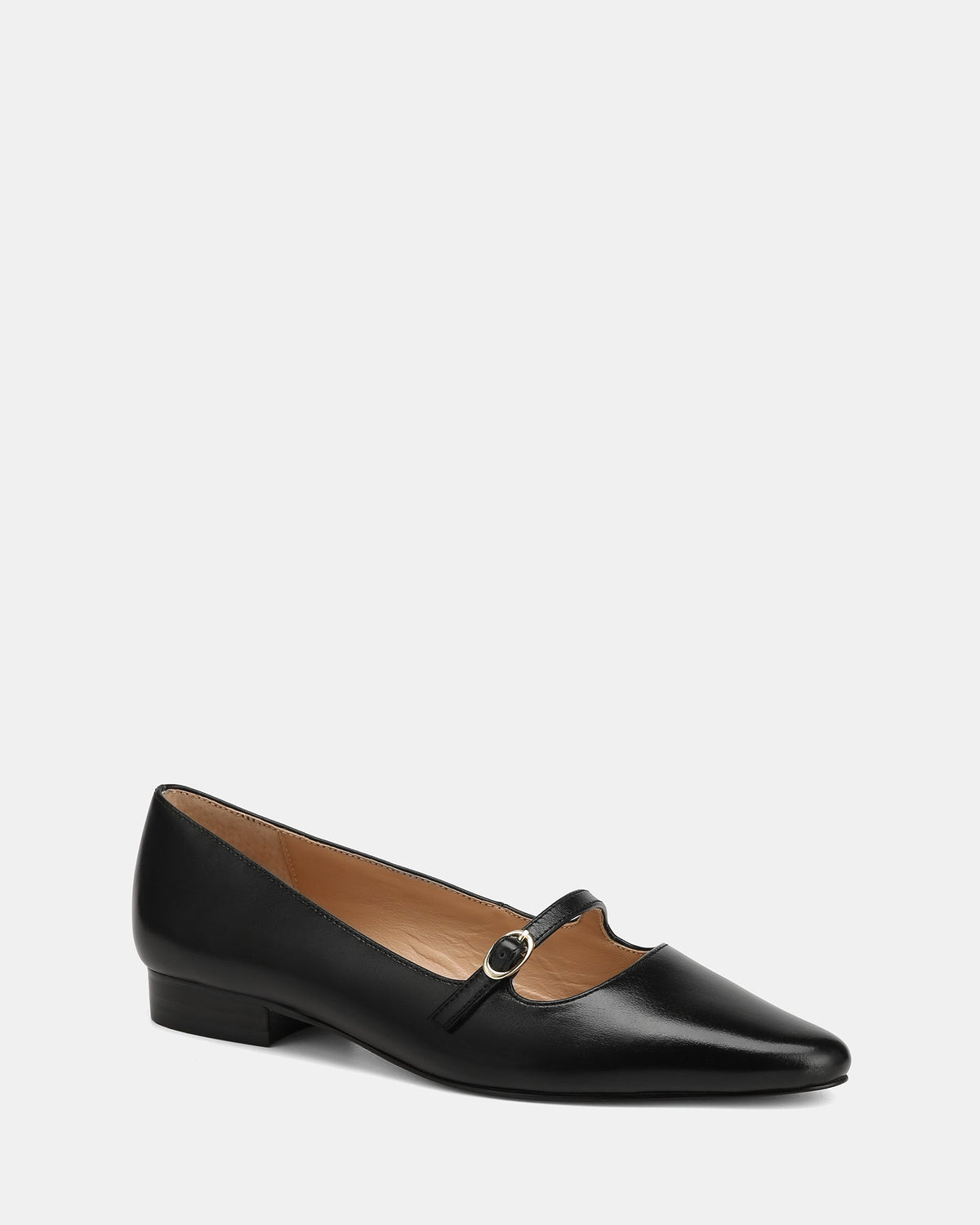 Carina Dress Flats Black Patent