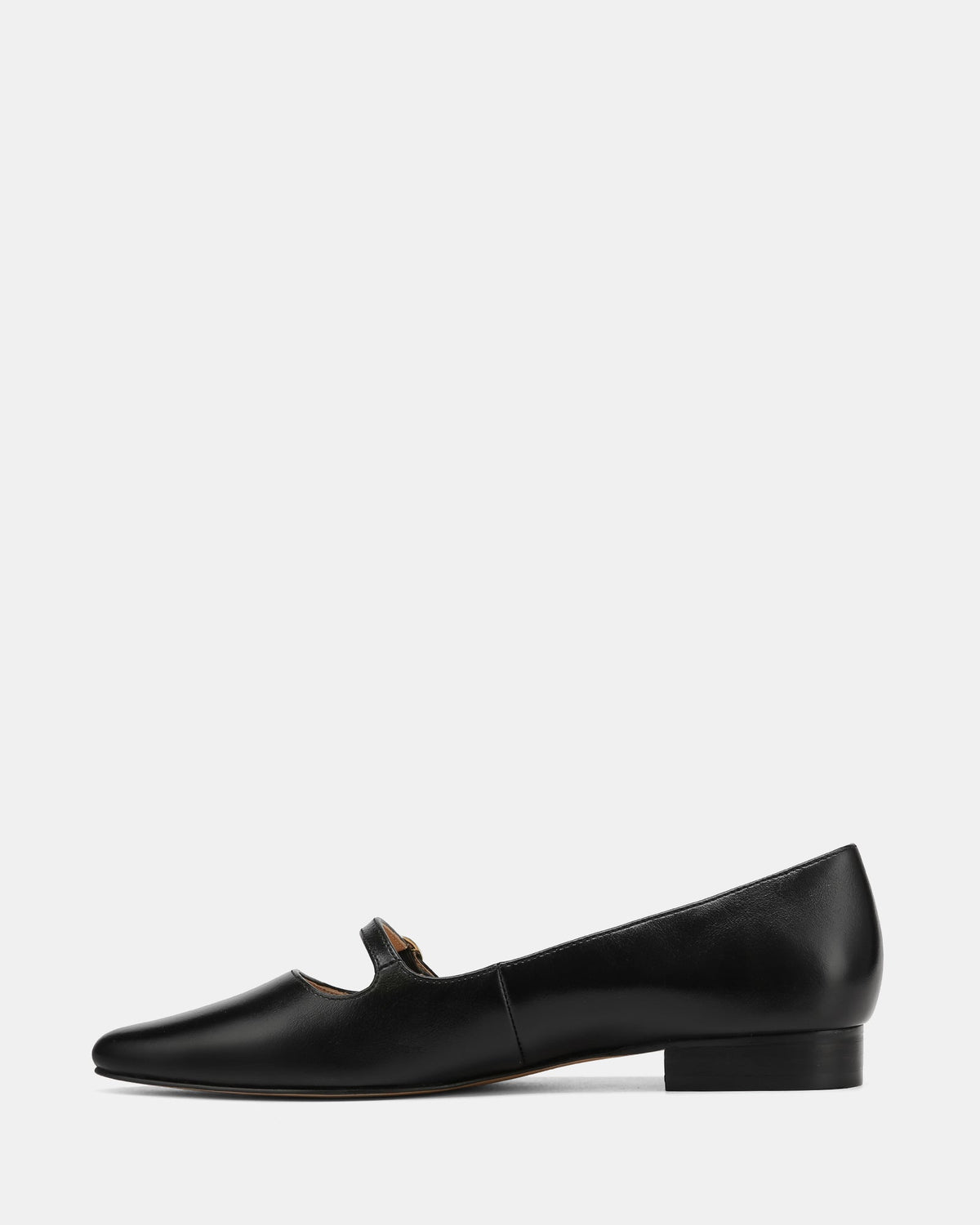 Carina Dress Flats Black Patent