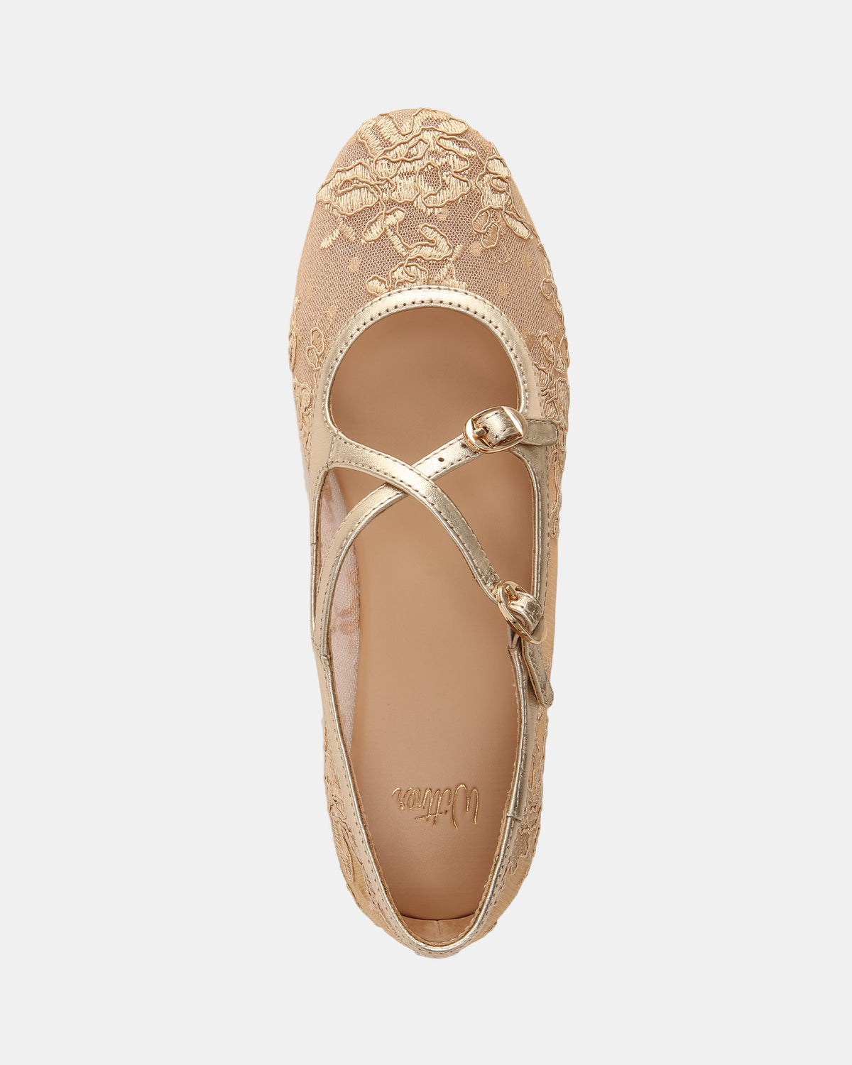 Dotty Ballet Flats Champagne Lace Mesh/Leather